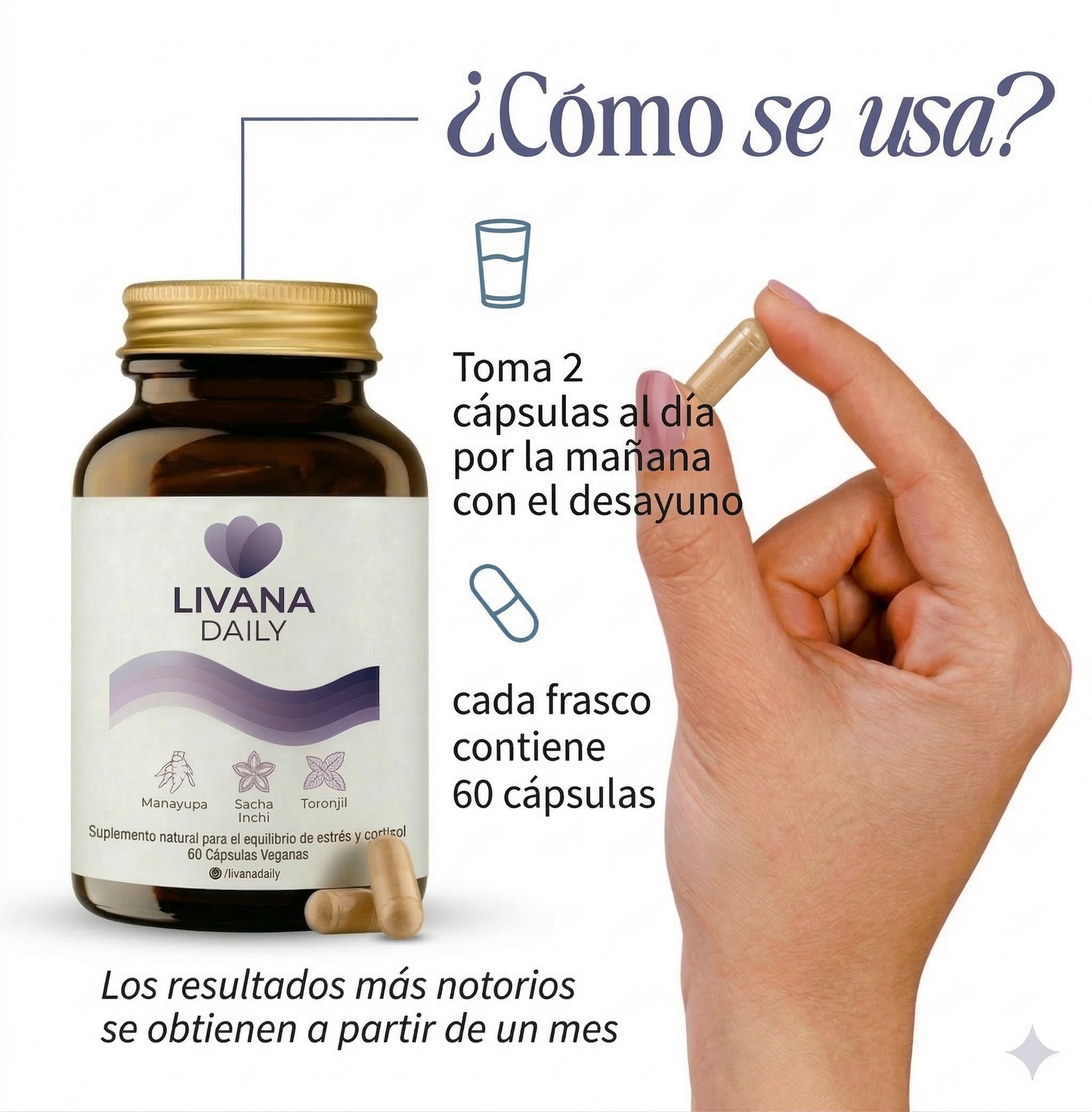 LIVANA DAILY - Suplemento natural para la regulación del estrés